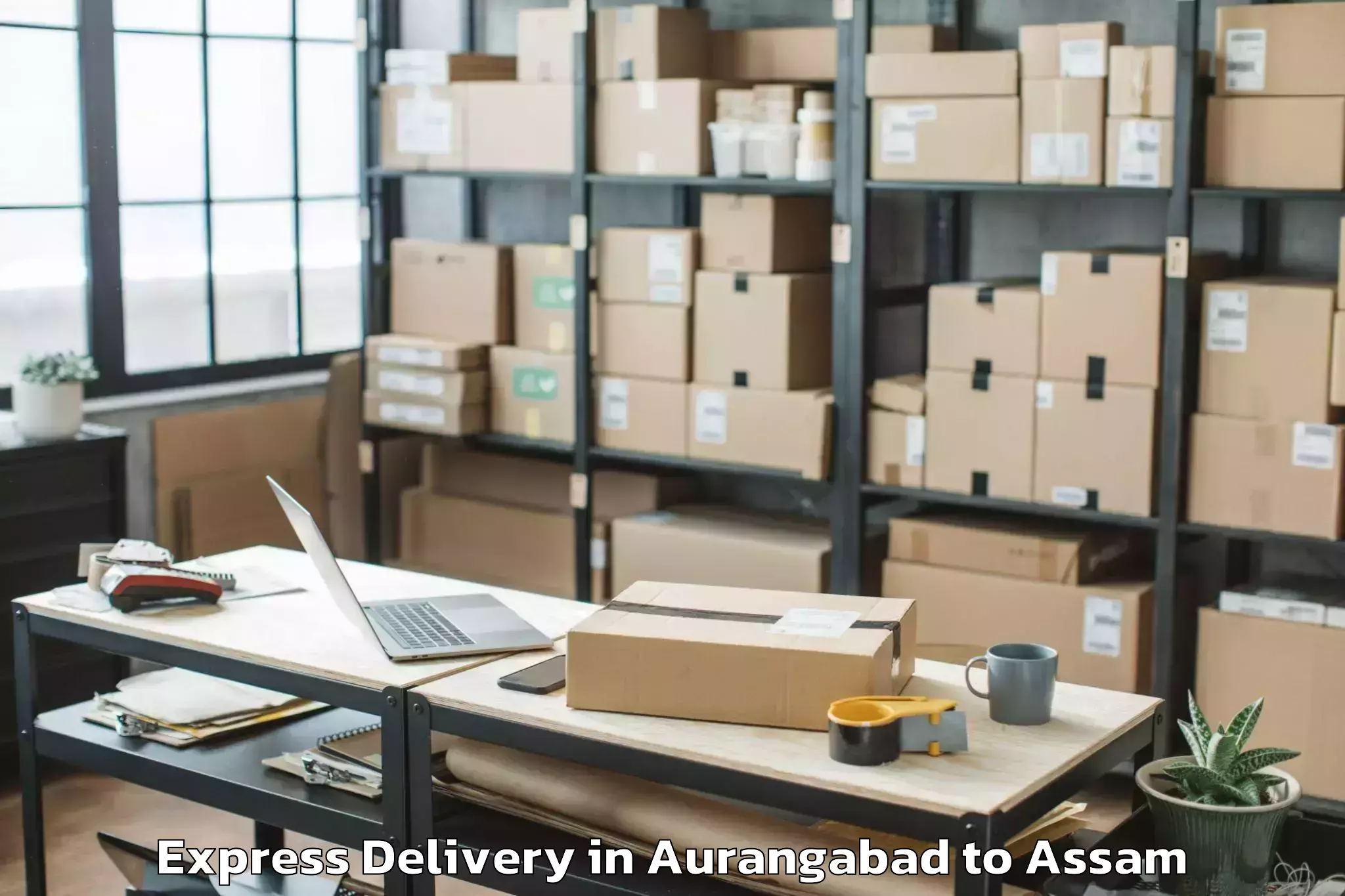 Quality Aurangabad to Balijan Express Delivery